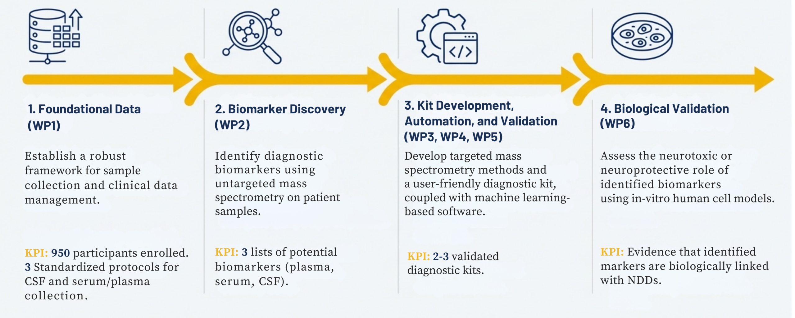 METNEDIA four-stage research pipeline: Foundational Data, Biomarker Discovery, Kit Development and Validation, and Biological Validation