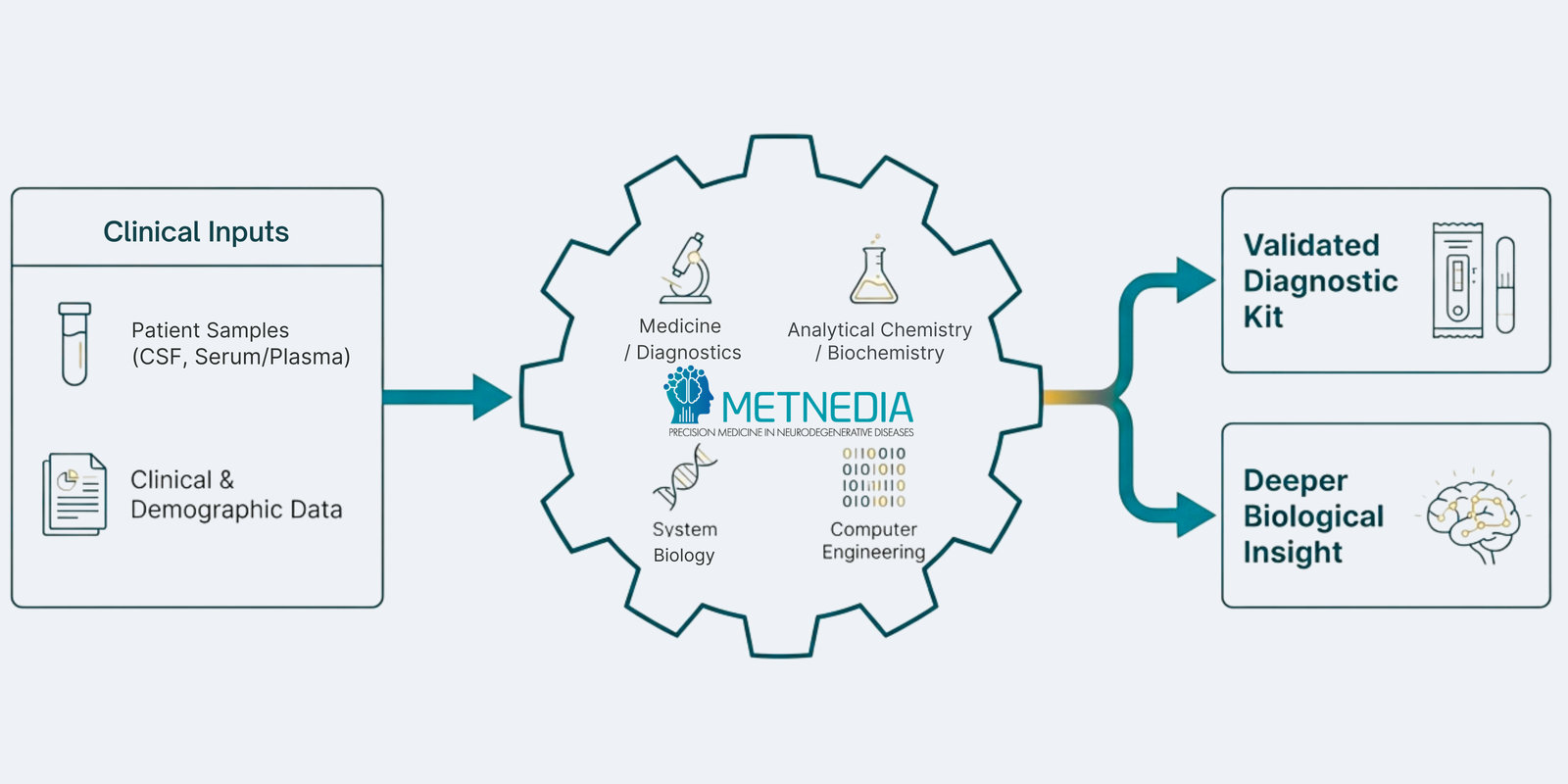 The METNEDIA Engine – integrating clinical inputs, metabolomics, AI and systems biology to produce validated diagnostic kits and deeper biological insight